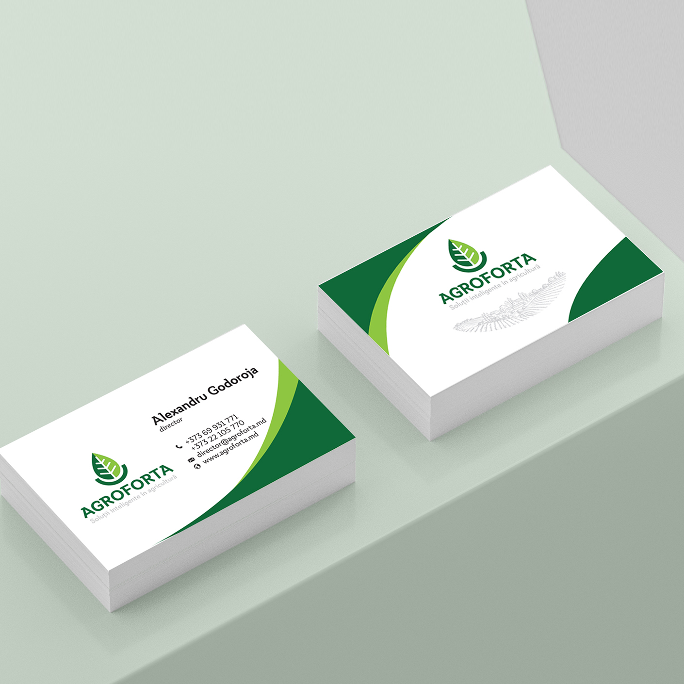 Cartele De Vizita PrintPoint Cartele De Vizita PrintPoint